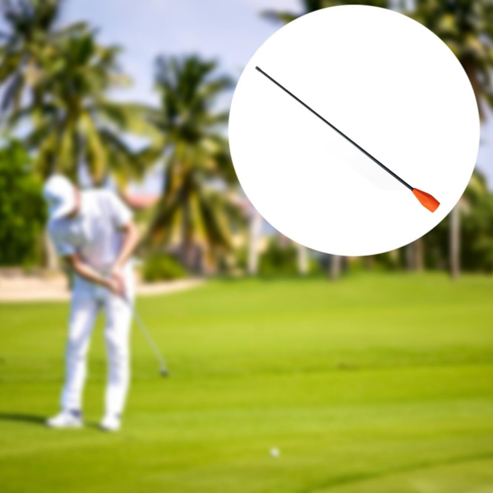 Golf Training Aid Flexible Fib - đánh giá và giá Golf Exercise Equipment